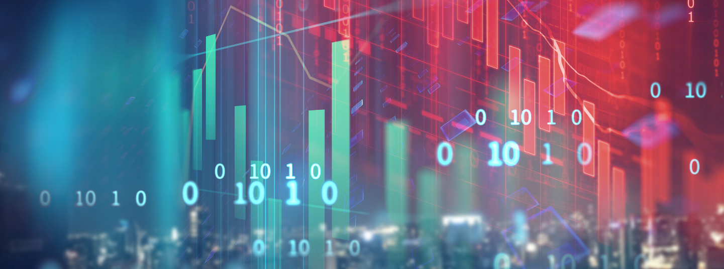 Understanding the Smallcap Dip, Our Strategy & Dissecting Union Budget 2025